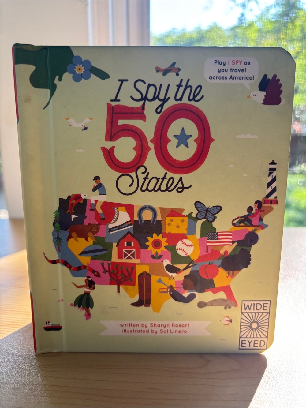 I Spy 🕵️‍♂️ the 50 States Kids Book 🗺️